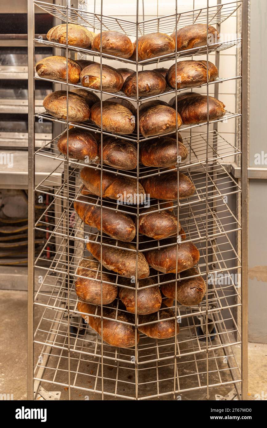 https://c8.alamy.com/comp/2T67WD0/fresh-bread-inside-of-a-bakery-ready-to-sell-2T67WD0.jpg