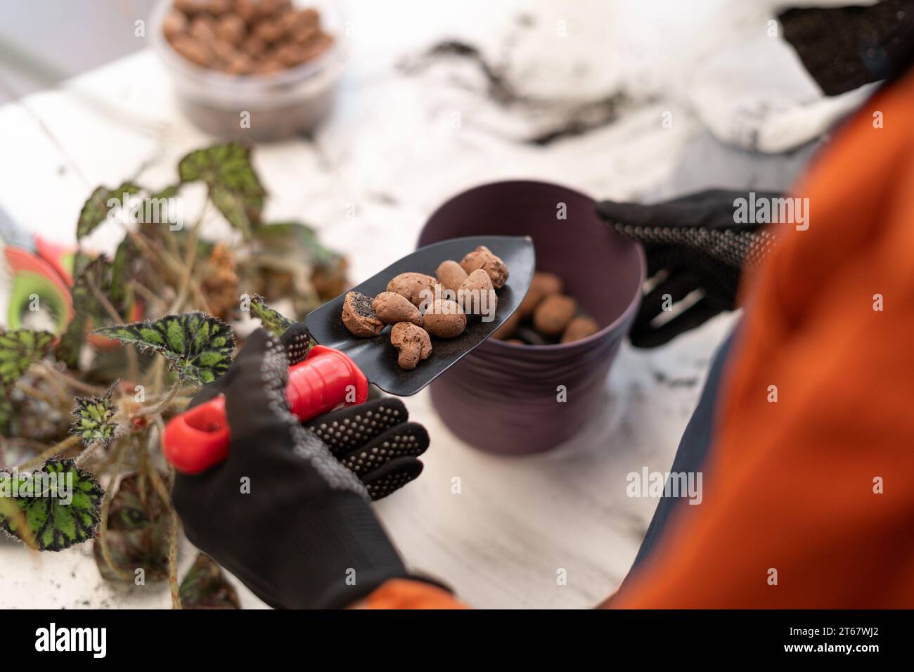 Repotting overgrown house plant into new bigger pot, putting drainage