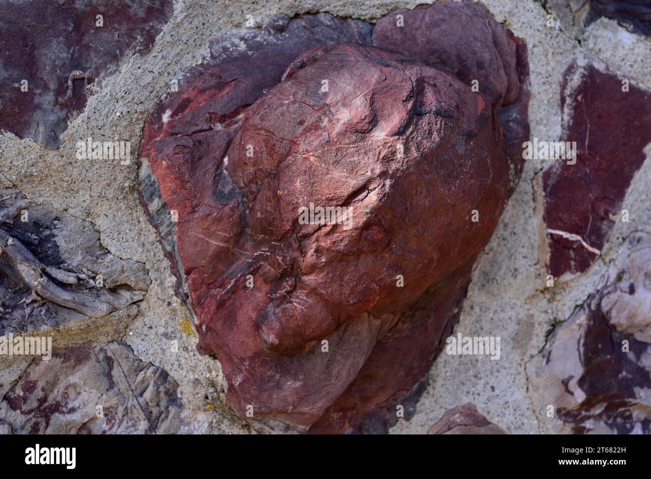 Daedalus on the house wall of Monsagro (Salamanaca province). Daedalus is a fossil trace testimony to the activity of  annelid worms (in quartzites fr Stock Photo