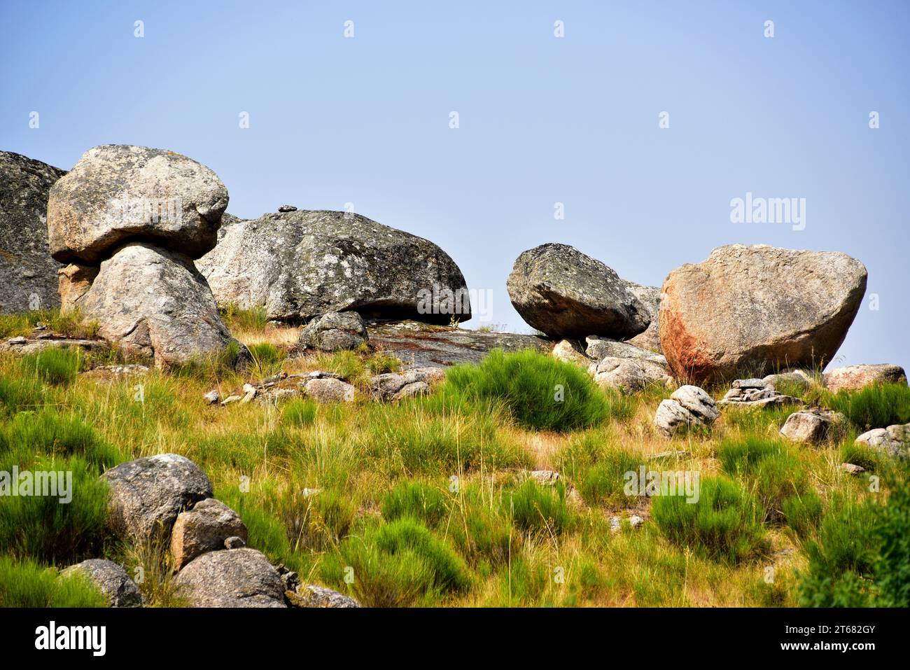 Onion skin weathering hires stock photography and images Alamy