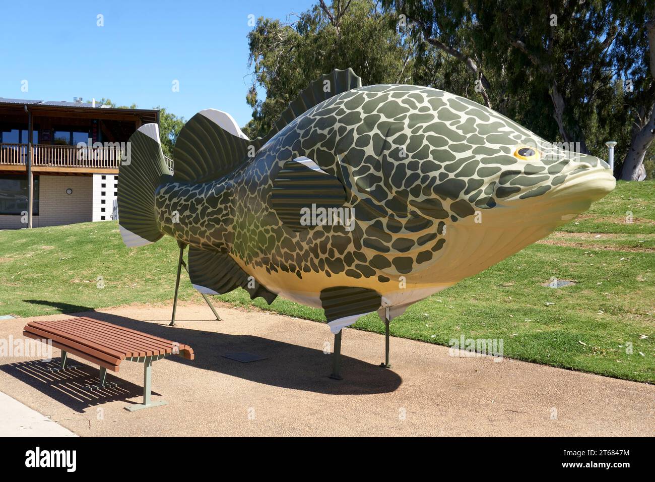 Tocumwal, New South Wales, Australia, A large model of the Iconic Murray Cod on the Banks of the Murray River Stock Photo