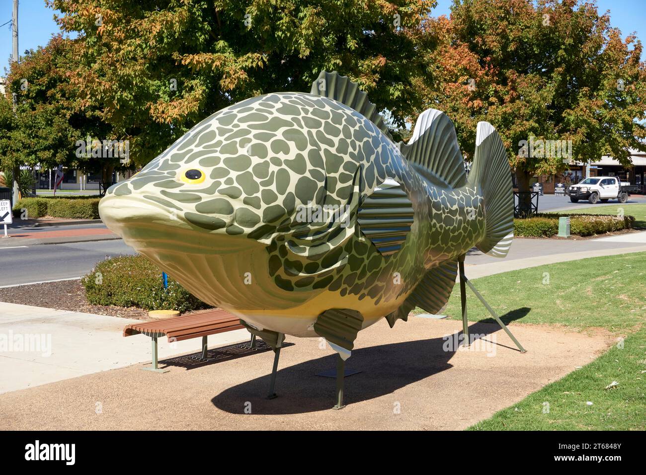 Tocumwal, New South Wales, Australia, A large model of the Iconic Murray Cod on the Banks of the Murray River Stock Photo