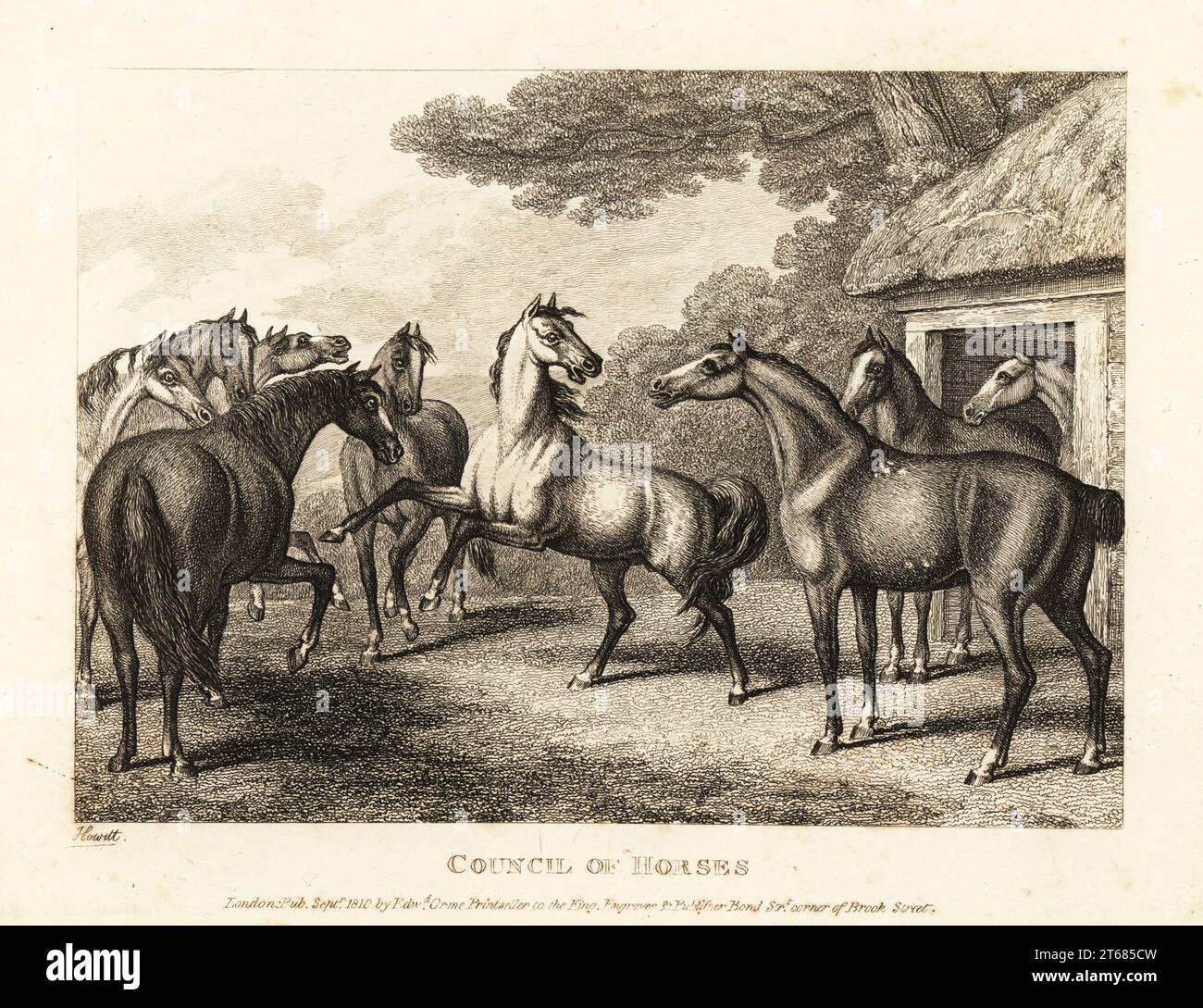 A young colt tries to stir a mutiny in the stables. Council of horses ...