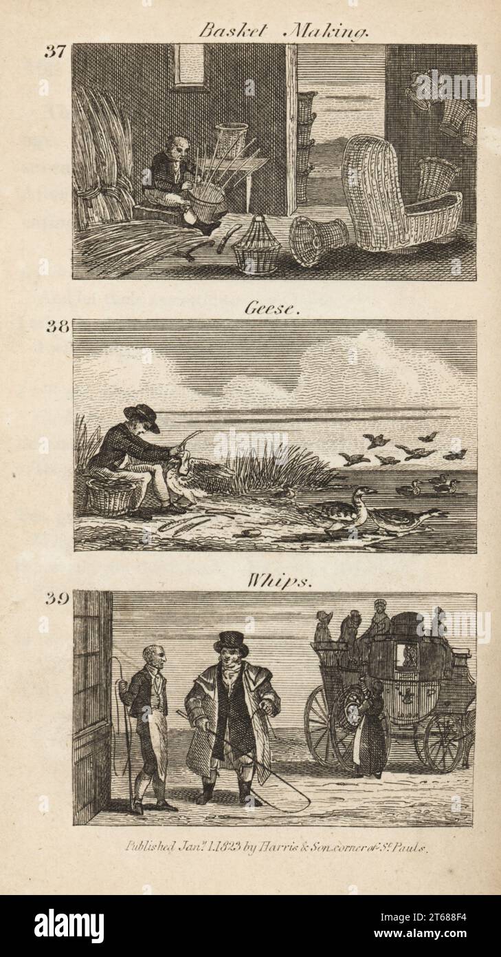 Trades in Regency England: basket making, geese plucking and whips. Basket-maker weaving willow into baskets and hampers on the Isle of Ely 34, man plucking quill feathers from geese in the Lincoln Fnes 35 and stage coach postillion with a whip made in Daventry 36. Woodcut engraving from Rev. Isaac Taylors Scenes of British Wealth, in Produce, Manufacture and Commerce, John Harris, London, 1823. Isaac Taylor was an English writer, artist, engraver and inventor 1787-1865. Stock Photo