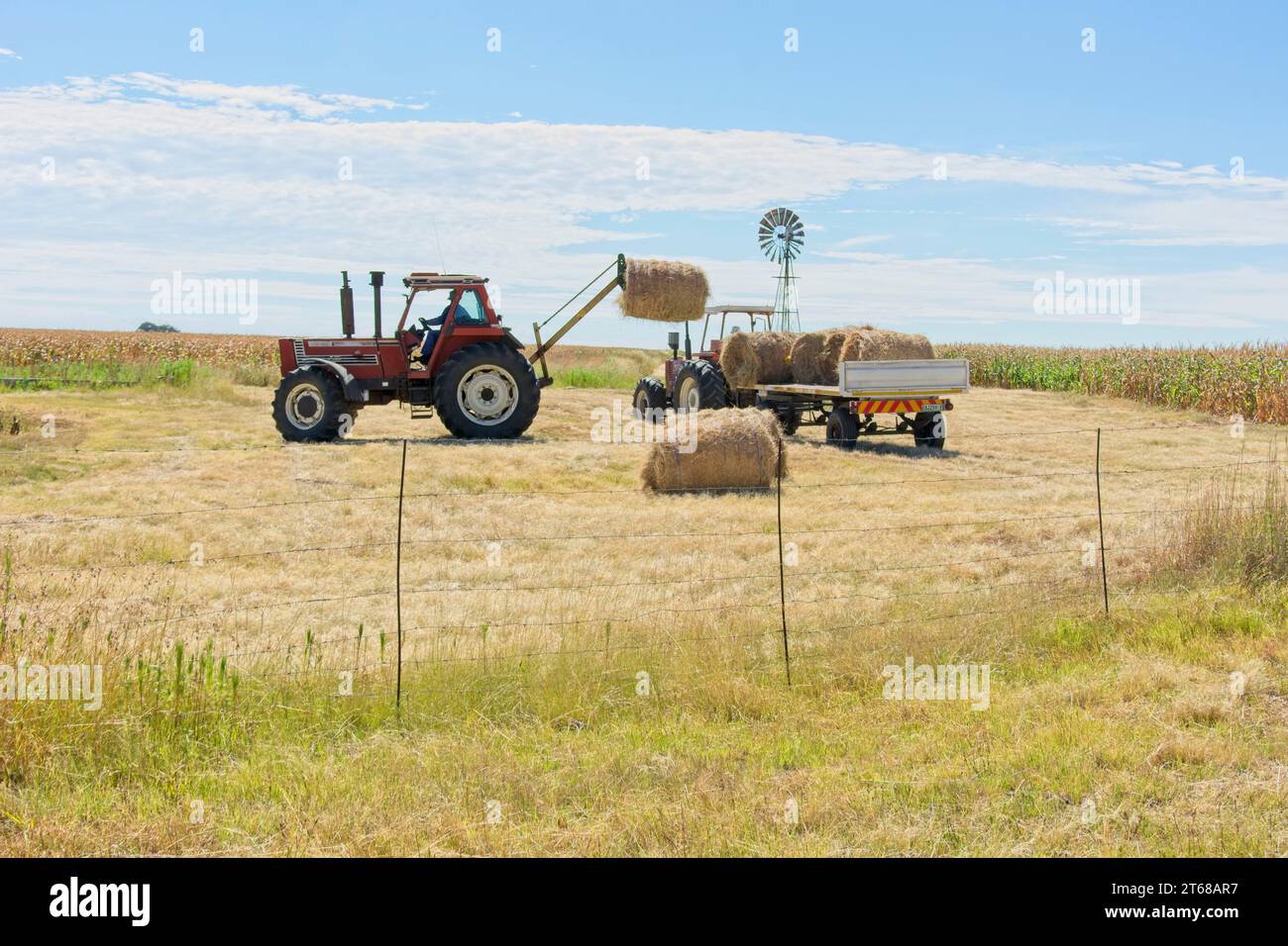 Villiers, South Africa - February 25, 2015 : Bales of hay being loaded onto trailer on farm with maize and windmill in the background. Stock Photo