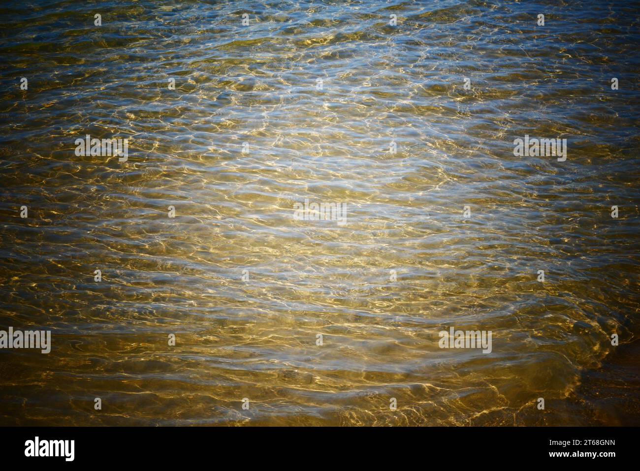 Clear seawater at the beach Stock Photo - Alamy