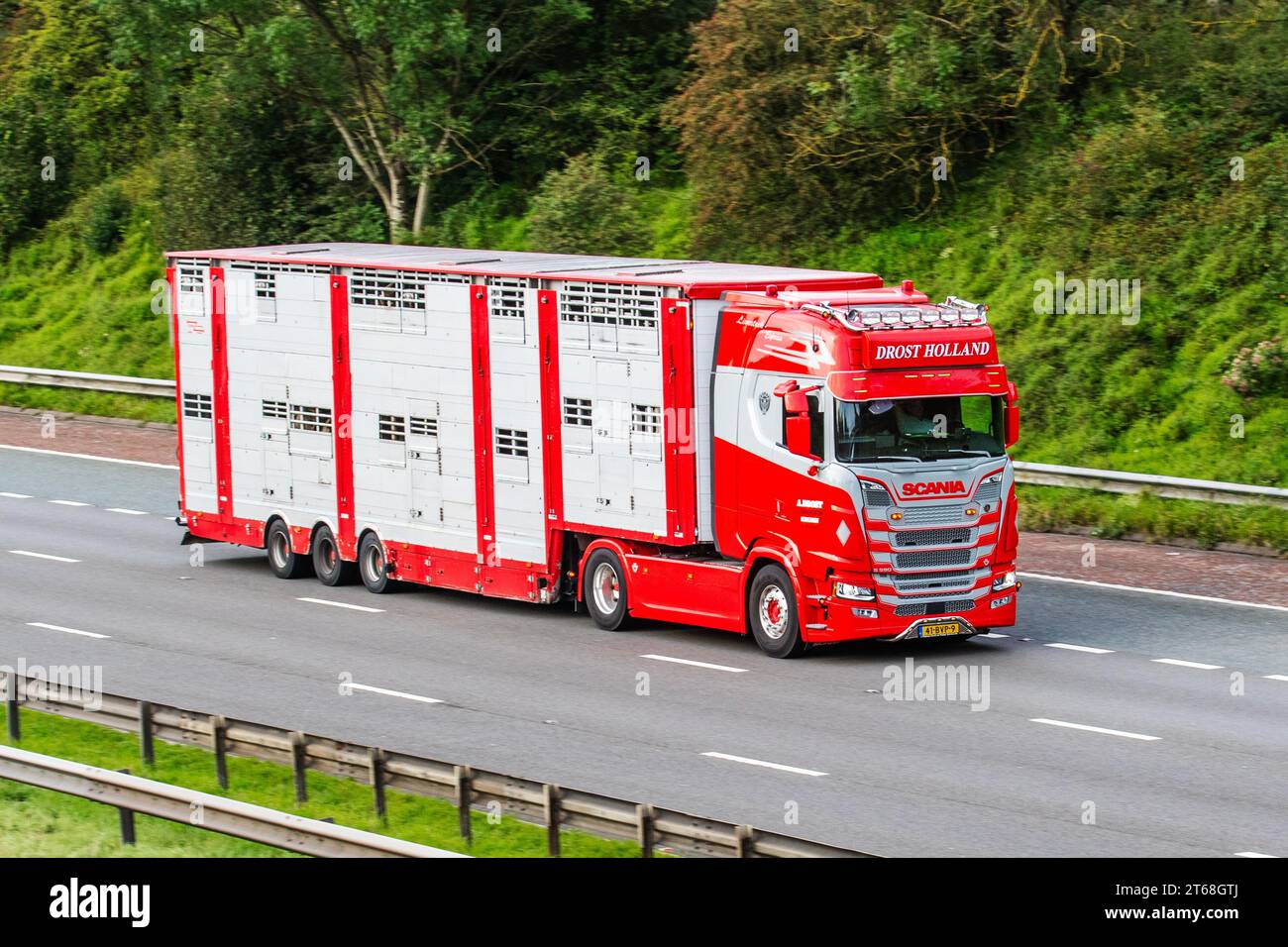 Drost Veetransport Holland livestock Express, red 3axle Scania S590 V8