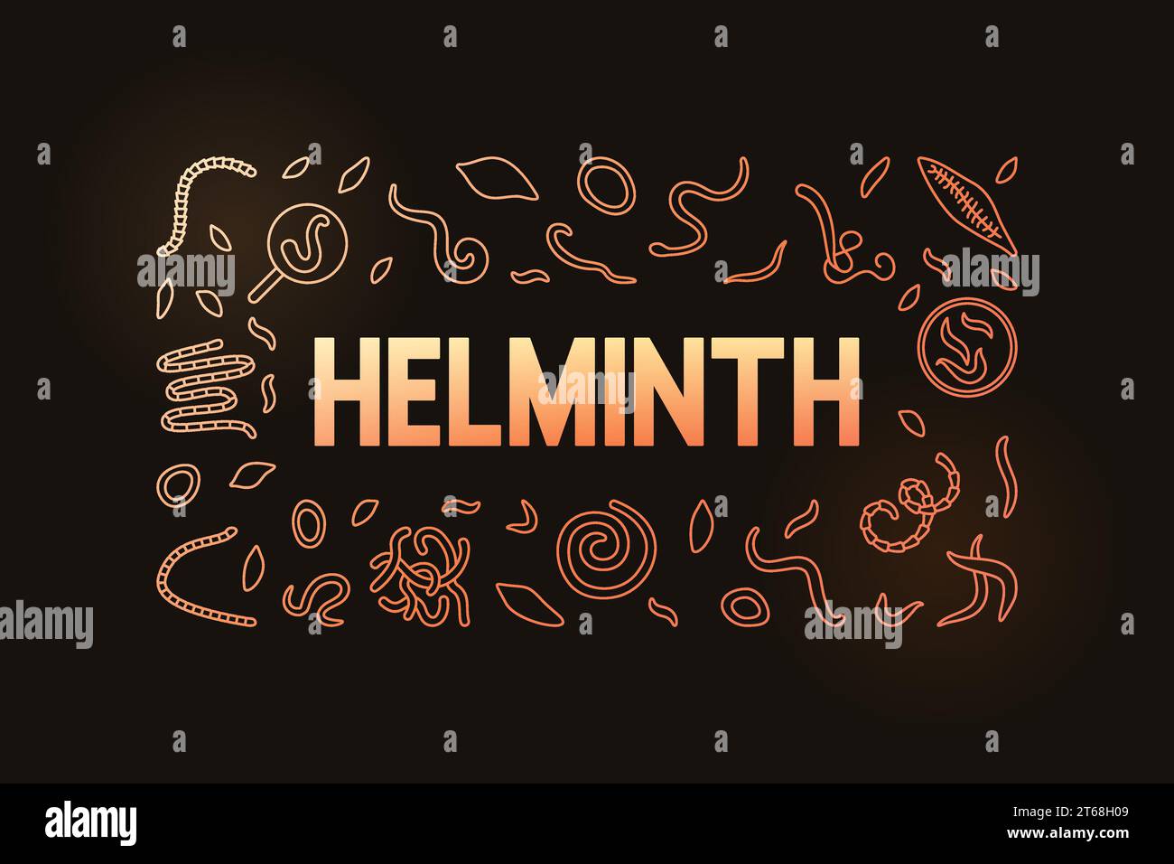 Helminth vector concept horizontal colored banner. Illustration with Nematode, Hookworms, Pinworms line signs on dark background Stock Vector