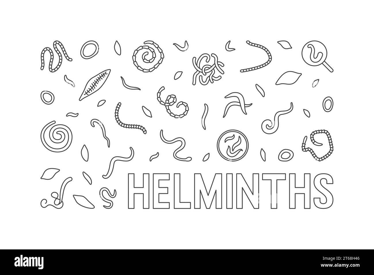 Helminths vector concept minimal horizontal illustration. Banner with Parasitic Worms outline icons Stock Vector