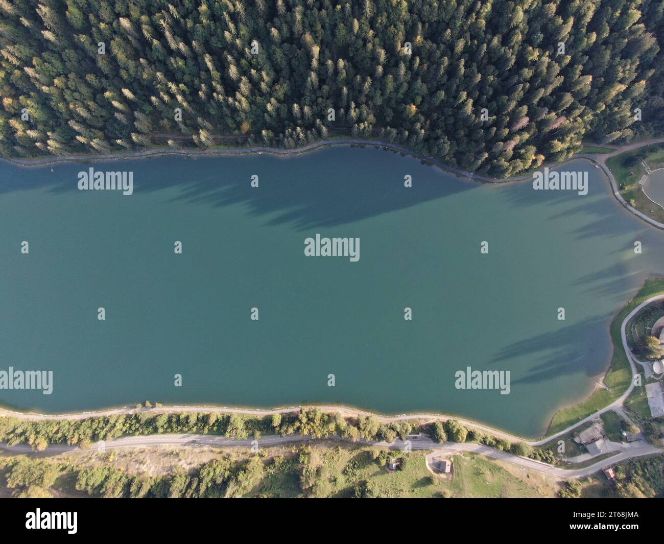 Aerial view of a tranquil lake surrounded by lush forests and ...