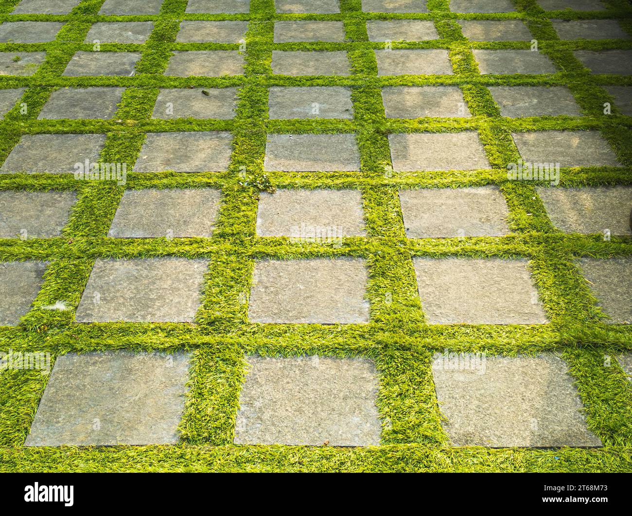 Tile pavement close-up with artificial green grass diagonal. Abstract background texture. Stock Photo