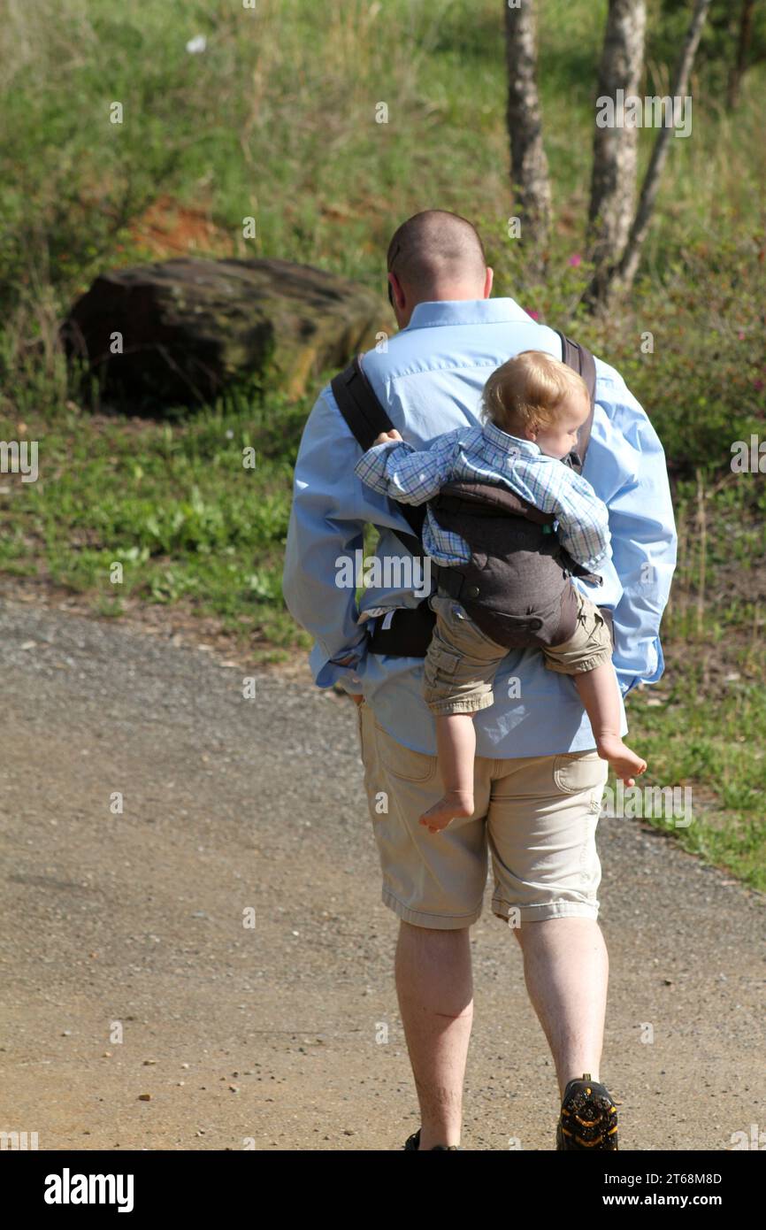 Father carrying toddler on his back using a carrier Stock Photo Alamy