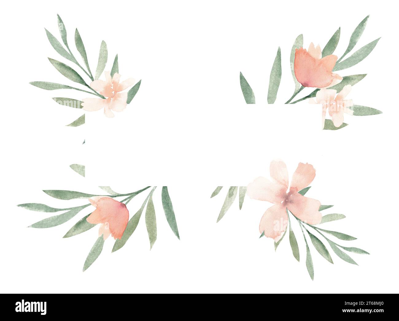 Pastel beige exotic tropical floral border in loose watercolor style. Peach color flower frame isolated on white background, banner, wedding invite Stock Photo
