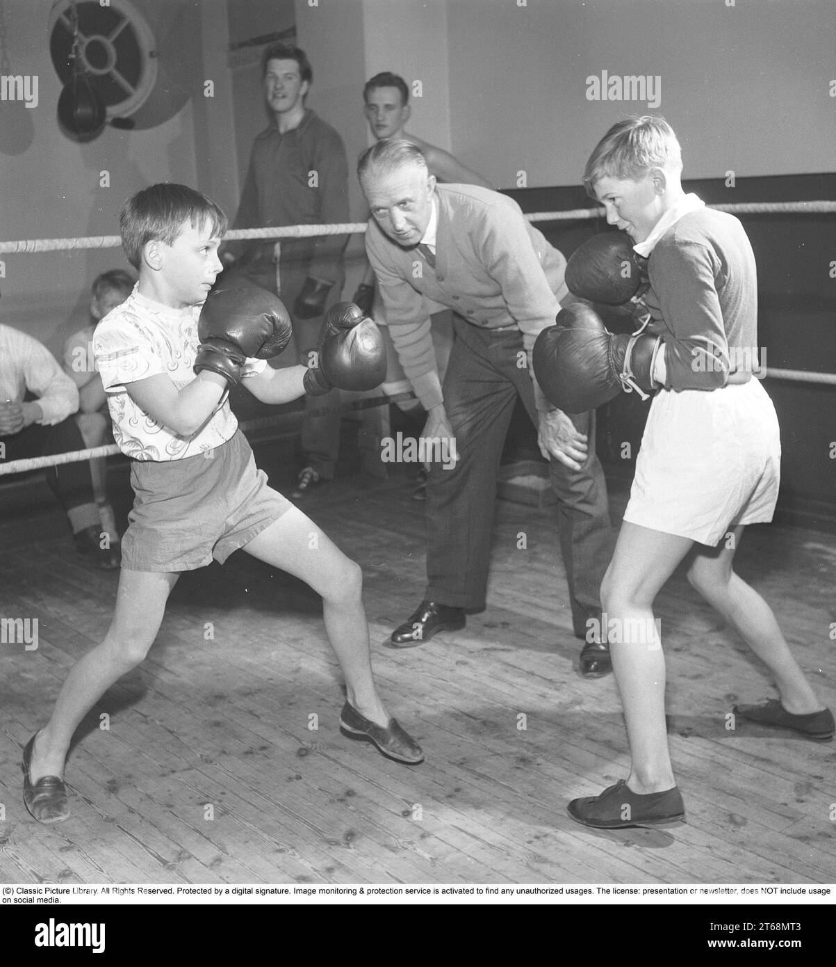 Boxing in the 1950s. Two young boxers facing each other in the ring, both wearing boxing gloves. A man acting as a referee is seen standing keeping an eye on them. Sweden 1954 Kristoffersson ref BO16-12 Stock Photo