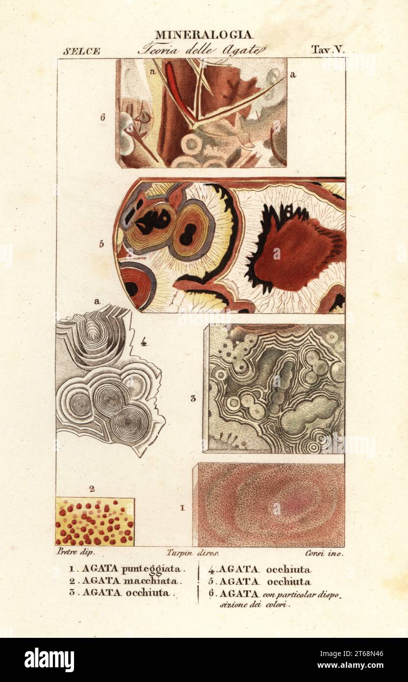 Dotted agate 1, spotted agate 2, eyed agate 3,4,5, agate 6. Agata punteggiata, Agata macchiata, Agata occhiuta, Agata. Handcoloured copperplate stipple engraving from Antoine Laurent de Jussieu's Dizionario delle Scienze Naturali, Dictionary of Natural Science, Florence, Italy, 1837. Illustration engraved by Corsi, drawn by Jean Gabriel Pretre and directed by Pierre Jean-Francois Turpin, and published by Batelli e Figli. Turpin (1775-1840) is considered one of the greatest French botanical illustrators of the 19th century. Stock Photo