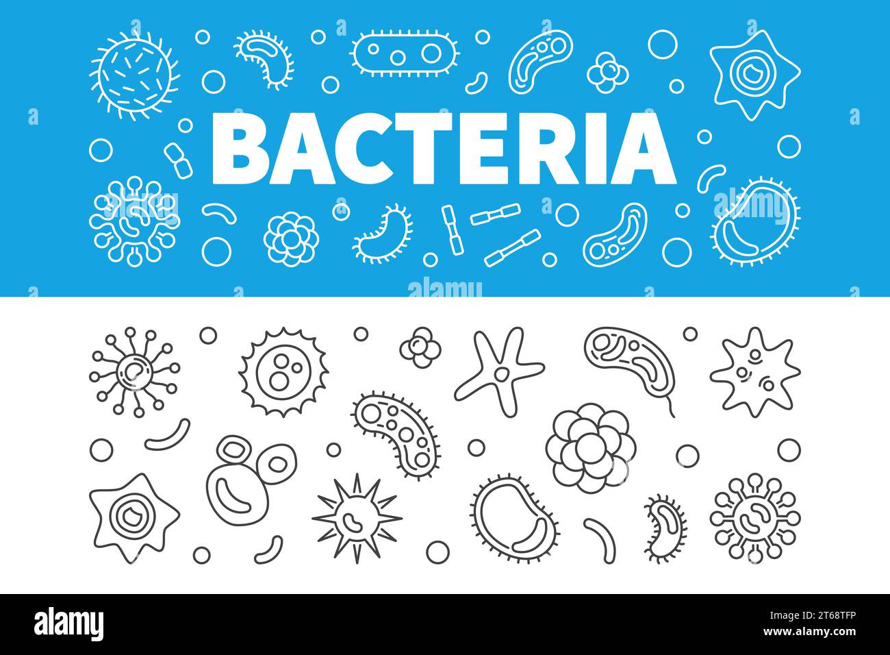 Bacteria horizontal banners set. Vector concept illustration in thin line style Stock Vector