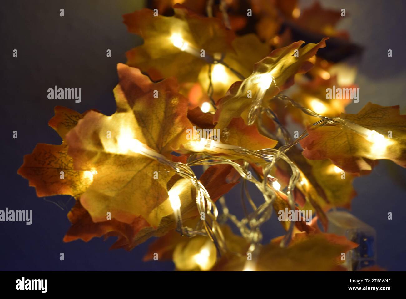 A collection of images of fake orange leaves with LED lights behind