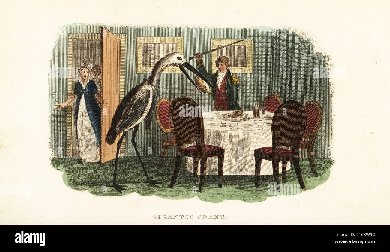 Tame giant crane stealing a whole boiled fowl from the dining table. A servant tries to stop it with a stick while the mistress of the house enters the dining room in shock. After an anecdote by English naturalist Henry Smeathman in the Banana Islands, Sierra Leone, Africa, 1771-1775. Gigantic crane or wattled crane, Grus carunculata. Handcoloured copperplate engraving from Reverend Thomas Smiths The Naturalists Cabinet, or Interesting Sketches of Animal History, Albion Press, James Cundee, London, 1806. Smith, fl. 1803-1818, was a writer and editor of books on natural history, religion, philo Stock Photo