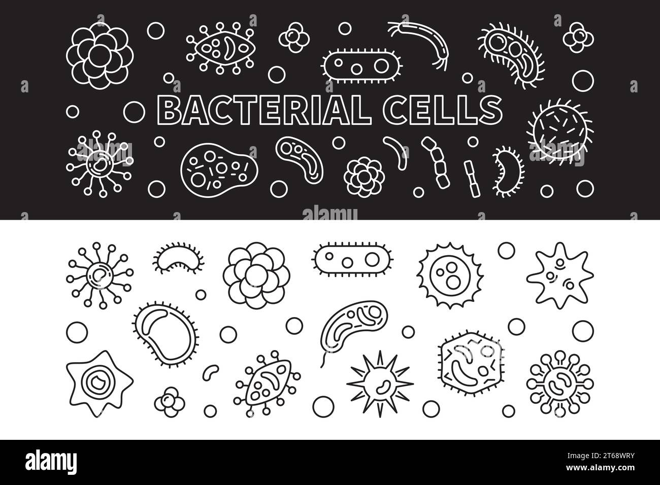 Bacterial cells 2 banners. Vector concept illustration in thin line ...