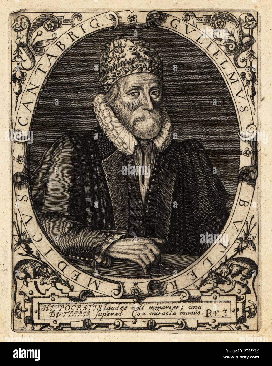 William Butler, English academic, physician and fellow of Clare College, Cambridge, 1535-1617. Guliemus Butler Medicus Cantabrig. Copperplate engraving by Johann Theodore de Bry from Jean-Jacques Boissards Bibliotheca Chalcographica, Johann Ammonius, Frankfurt, 1650. Stock Photo