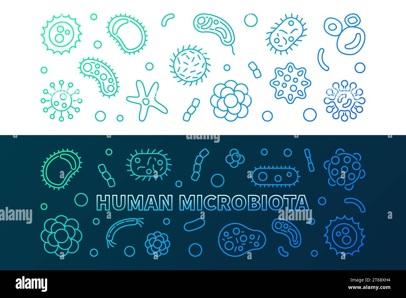 Human microbiota colorful horizontal banners set. Vector concept thin line illustration Stock Vector