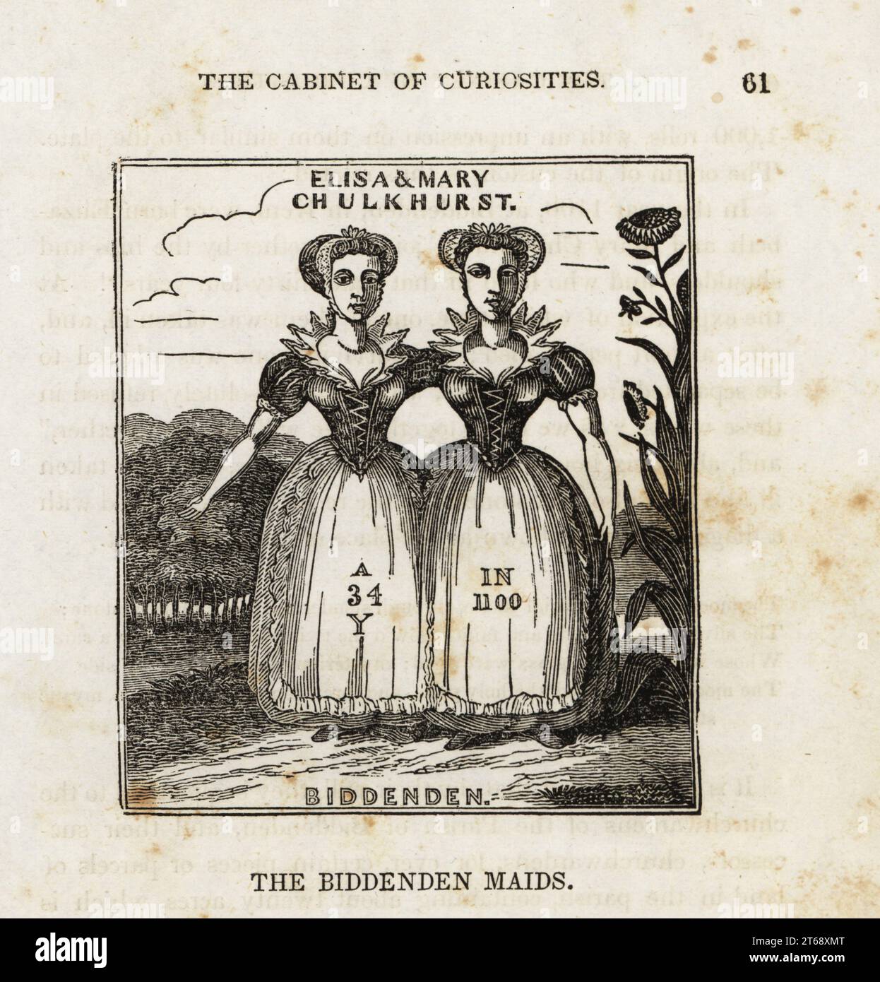 Elizabeth and Mary Chulkhurst, the Biddenden Maids, died aged 34 in 1100. Legendary 11th century conjoined twins or Siamese twins from Kent, England. Woodcut from The Cabinet of Curiosities, or Wonders of the World Displayed, Henry Piercy, New York, 1836. Stock Photo