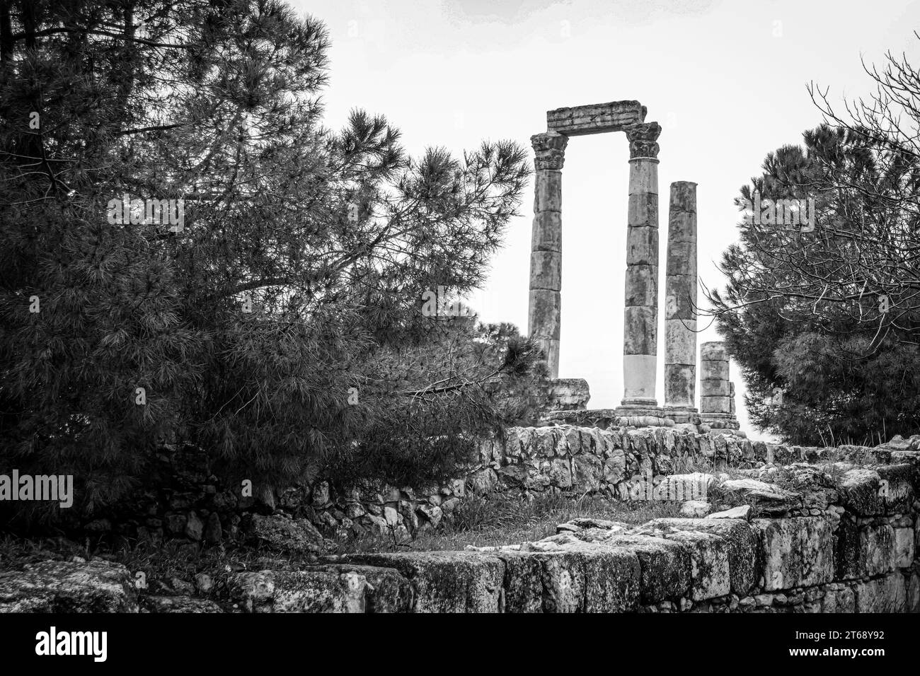 A grayscale of the Amman Citadel, Jordan, Middle East Stock Photo Alamy