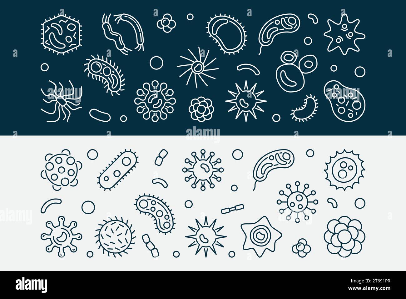 Bacteria, Viruses and Fungi horizontal banners - vector illustration in ...