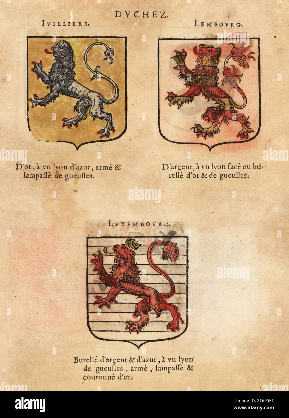 Coat of arms of the Duchy of Ivilliers with blue lion, Lemburg with gold and red lion, and Luxemburg with red lion and gold crown. Duchez Ivilliers, Lembourg, and Luxembourg. Handcoloured woodblock engraving from Hierosme de Baras Le Blason des Armoiries, Chez Rolet Boutonne, Paris, 1628. Stock Photo