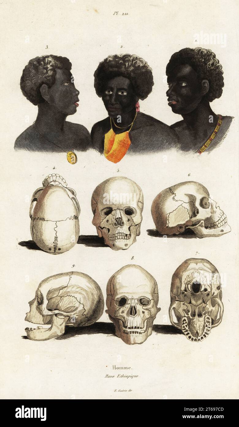 Head 1 and skulls 4-6 of Ethiopians, heads of Papuan natives of Waigeo, West Papua, Indonesia 2,3, and skulls of Aborigines of Sydney Cove and Paramatta, Australia 7-9. Handcoloured steel engraving after an illustration from Felix-Edouard Guerin-Meneville's Dictionnaire Pittoresque d'Histoire Naturelle (Picturesque Dictionary of Natural History), Paris, 1834-39. Stock Photo