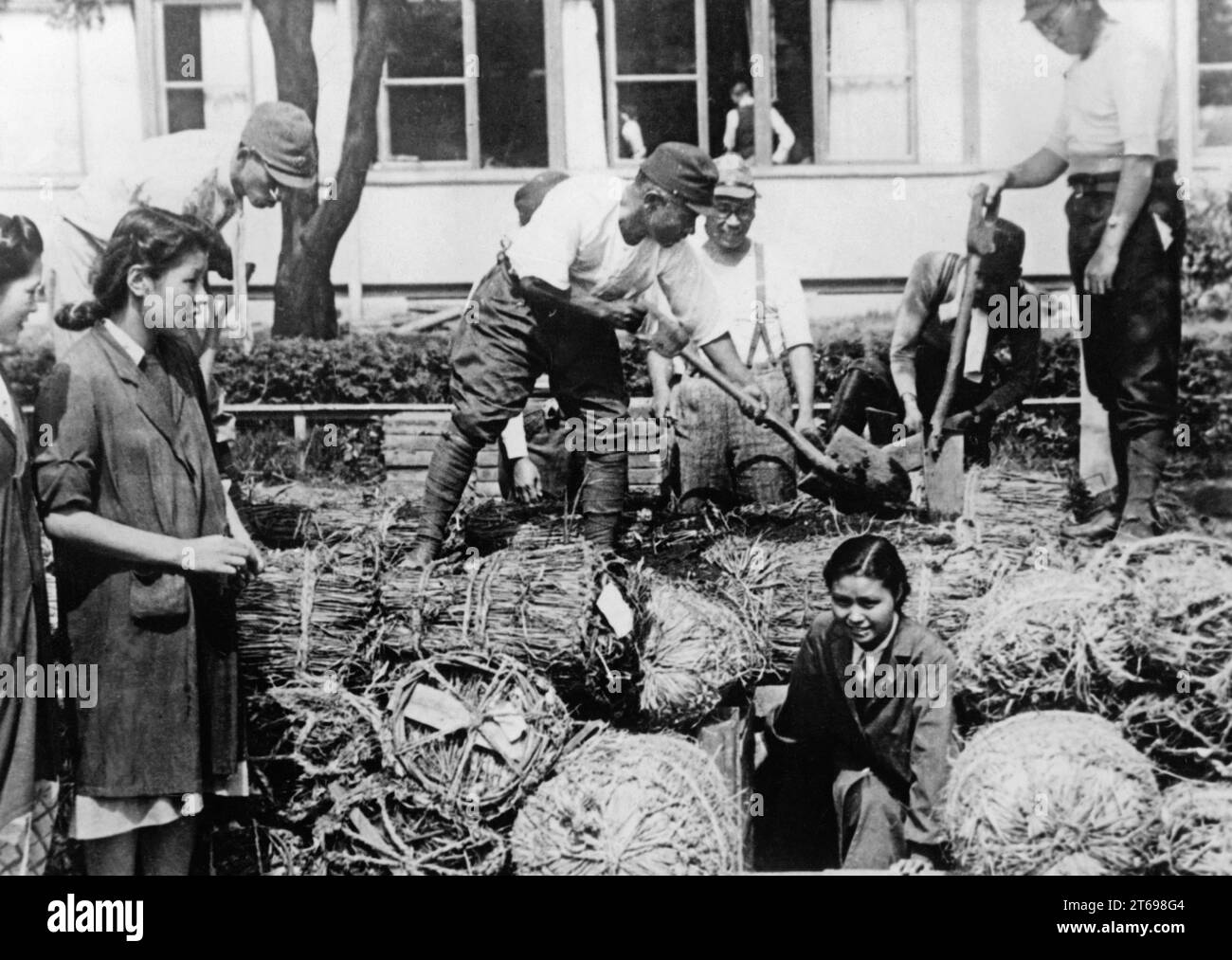 Creation of a pattern shelter in front of a public building in Tokyo