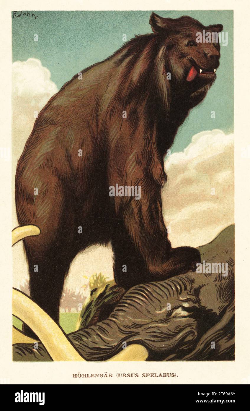 Cave bear, Ursus spelaeus, standing on the carcass of a mammoth