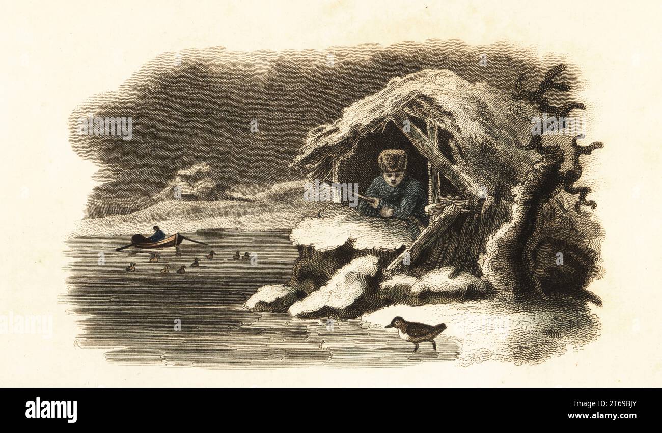 European water ouzel walking into Lake Nantua, France, and continuing submerged on the bottom of the lake in a bubble of air. A naturalist with musket observes from a snow-covered hut of pine branches. A man in a boat drives ducks to the shore. After an anecdote sent by Mr. Hebert or Herbert to Comte de Buffon in Histoire Naturelle, 1749-1788. Water ouzel, Cinclus aquaticus. Handcoloured copperplate engraving from Reverend Thomas Smiths The Naturalists Cabinet, or Interesting Sketches of Animal History, Albion Press, James Cundee, London, 1806. Smith, fl. 1803-1818, was a writer and editor of Stock Photo