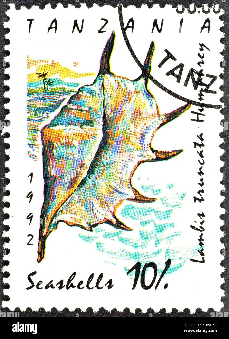 Cancelled postage stamp printed by Tanzania, that shows Giant Spider Conch (Lambis truncata), circa 1992. Stock Photo