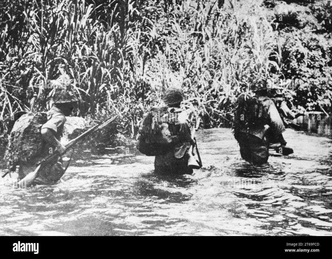 Japanese jungle Black and White Stock Photos & Images - Alamy