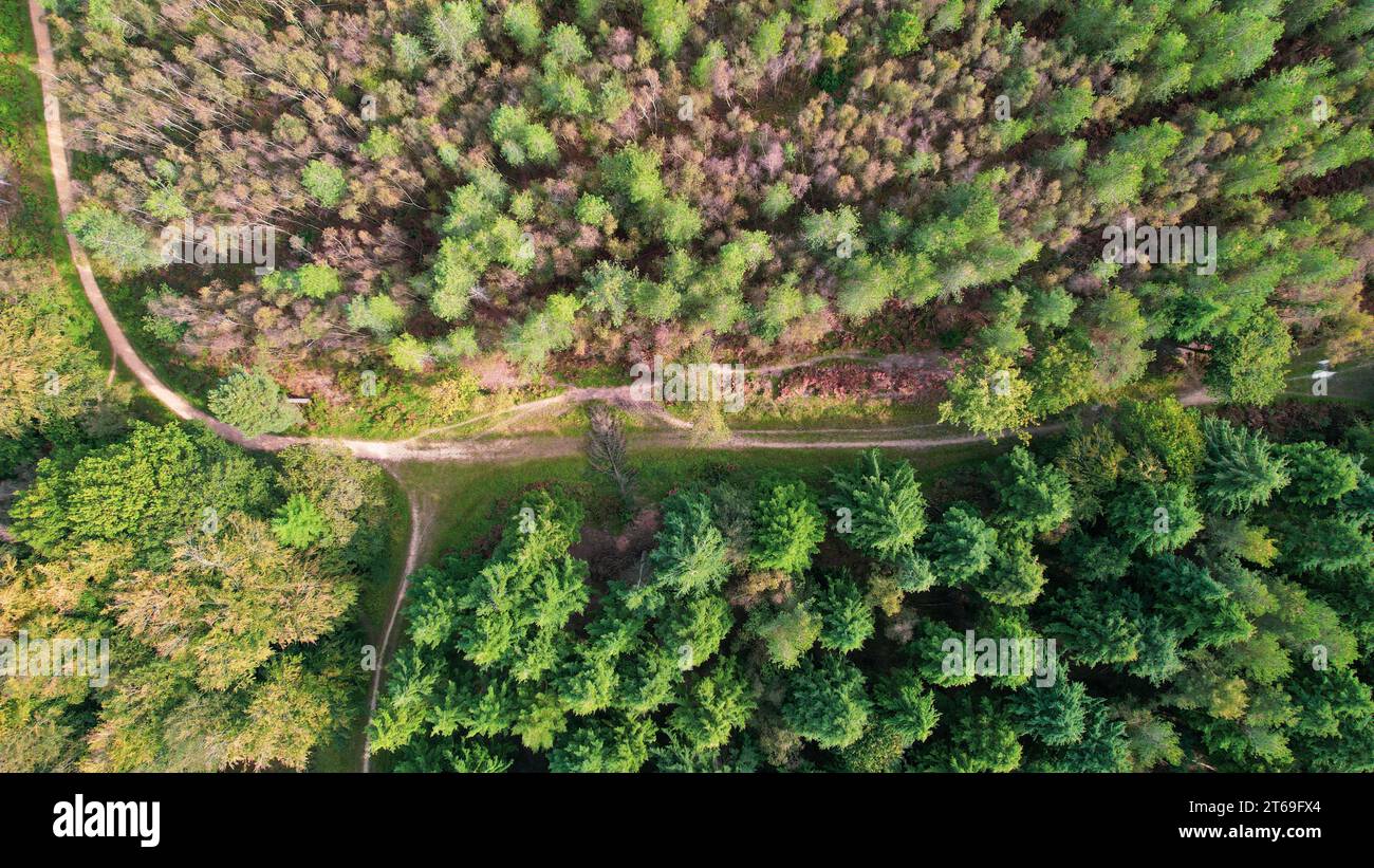 An aerial view of a rural landscape with a winding road surrounded by ...