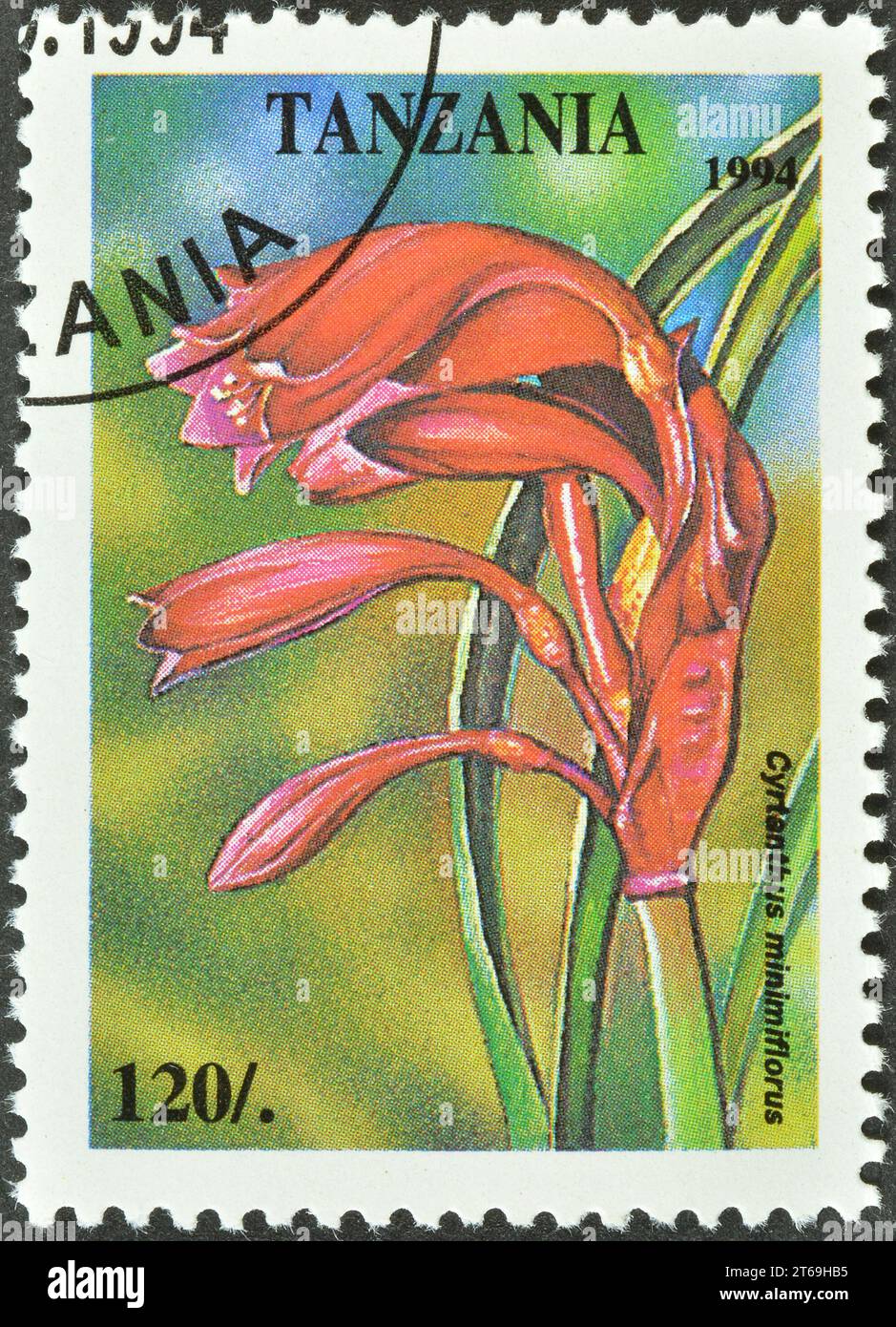 Cancelled postage stamp printed by Tanzania, that shows Cyrtanthus minimiflorus, Tropical flowers, circa 1994. Stock Photo