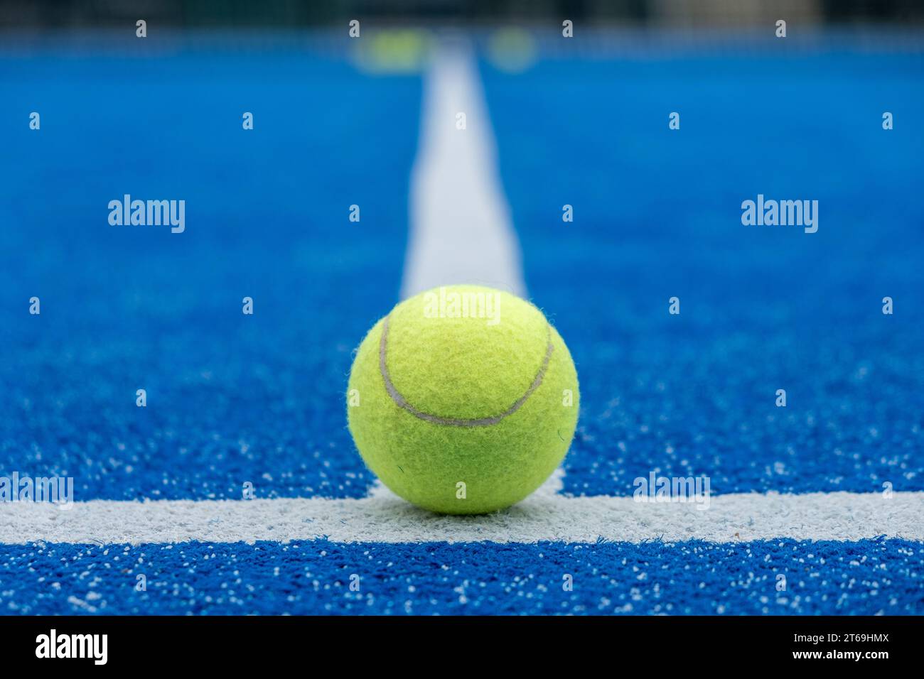 selective focus of a paddle tennis ball on the line of a blue paddle ...