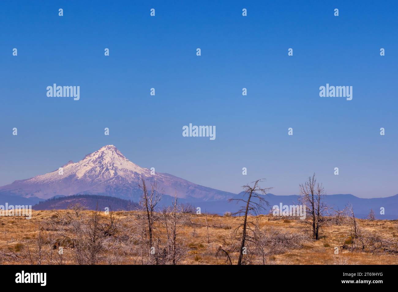 Mt. Jefferson elevation 10,502 is a stratovolcano in Oregon and is a