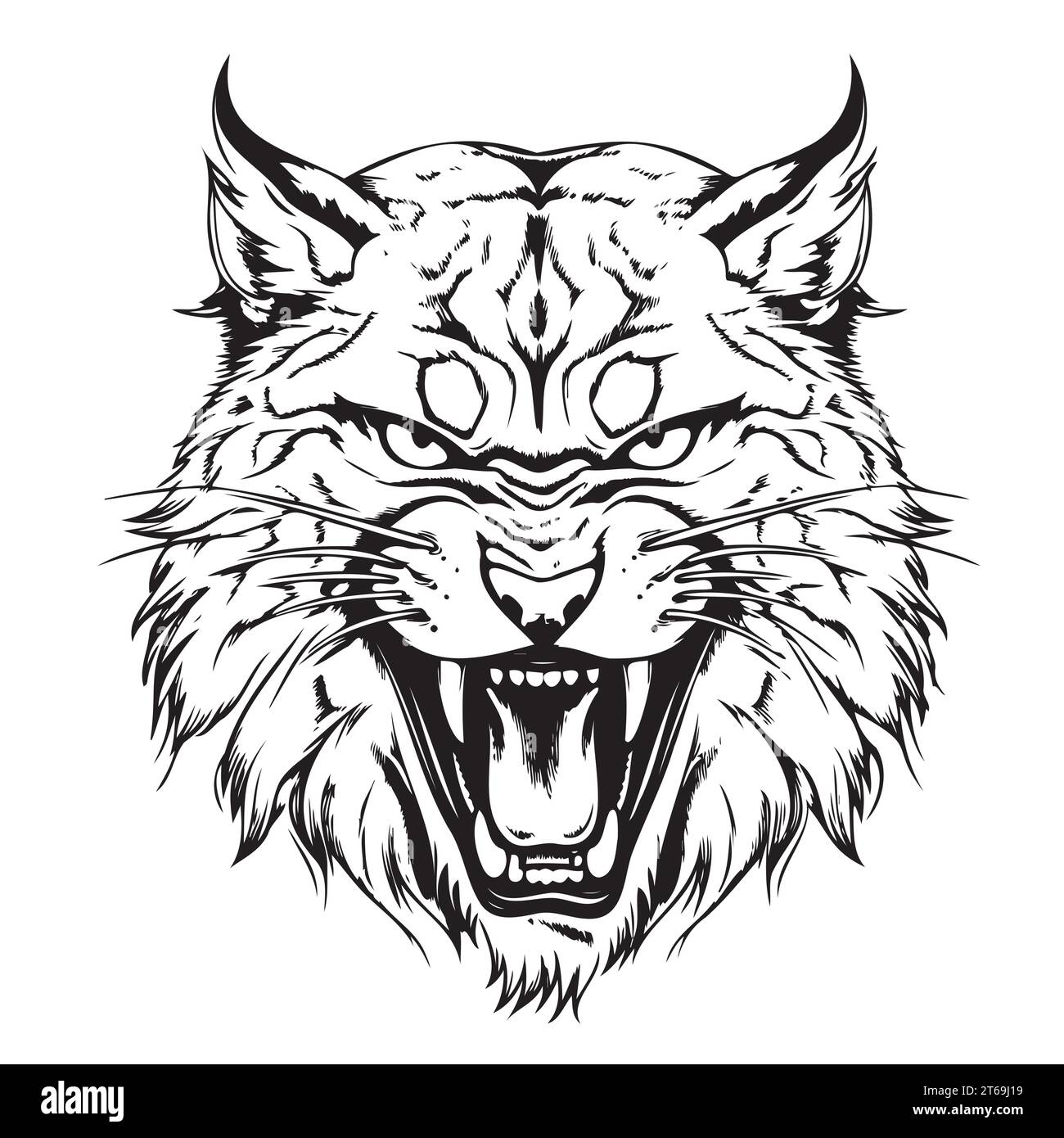 Hand drawn sketch style portrait of lynx isolated on white background. Vector illustration. Stock Vector