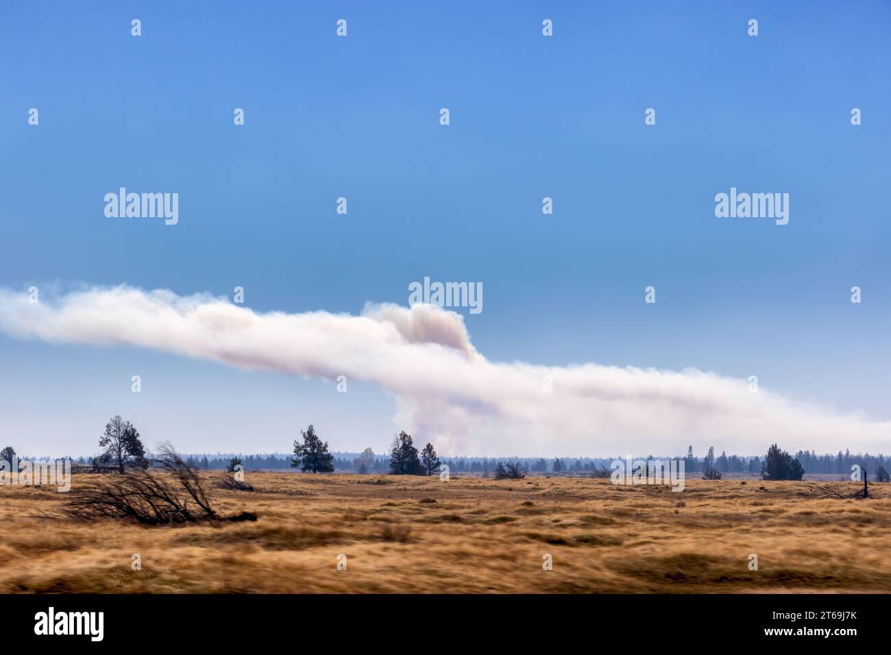 From a moving car, a controlled burn can be seen off in the distance from highway 26 in eastern Oregon, USA. Stock Photo