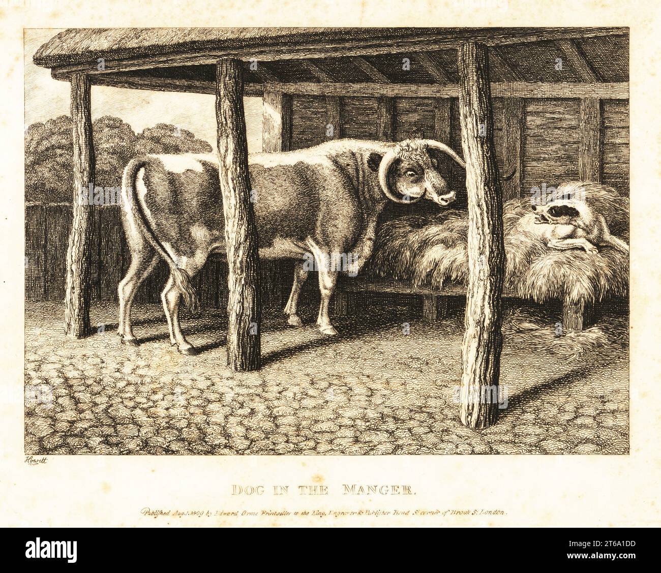 A dog sleeping on hay in a barn snarls at a cow trying to eat. Dog in the manger. Illustration of a saying in the apocryphal Gospel of Thomas. Copperplate etching drawn and engraved from life by Samuel Howitt from his own A New Work of Animals, Principally Designed from the Fables of Aesop, Gay and Phaedrus, Edward Orme, London, 1811. Stock Photo