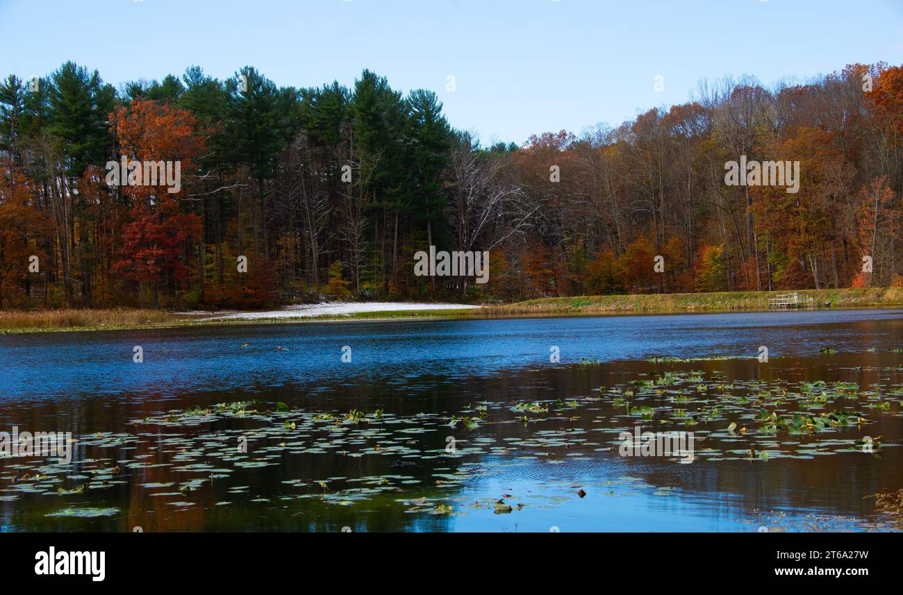 A tranquil lake surrounded by lush greenery and dotted with beautiful ...