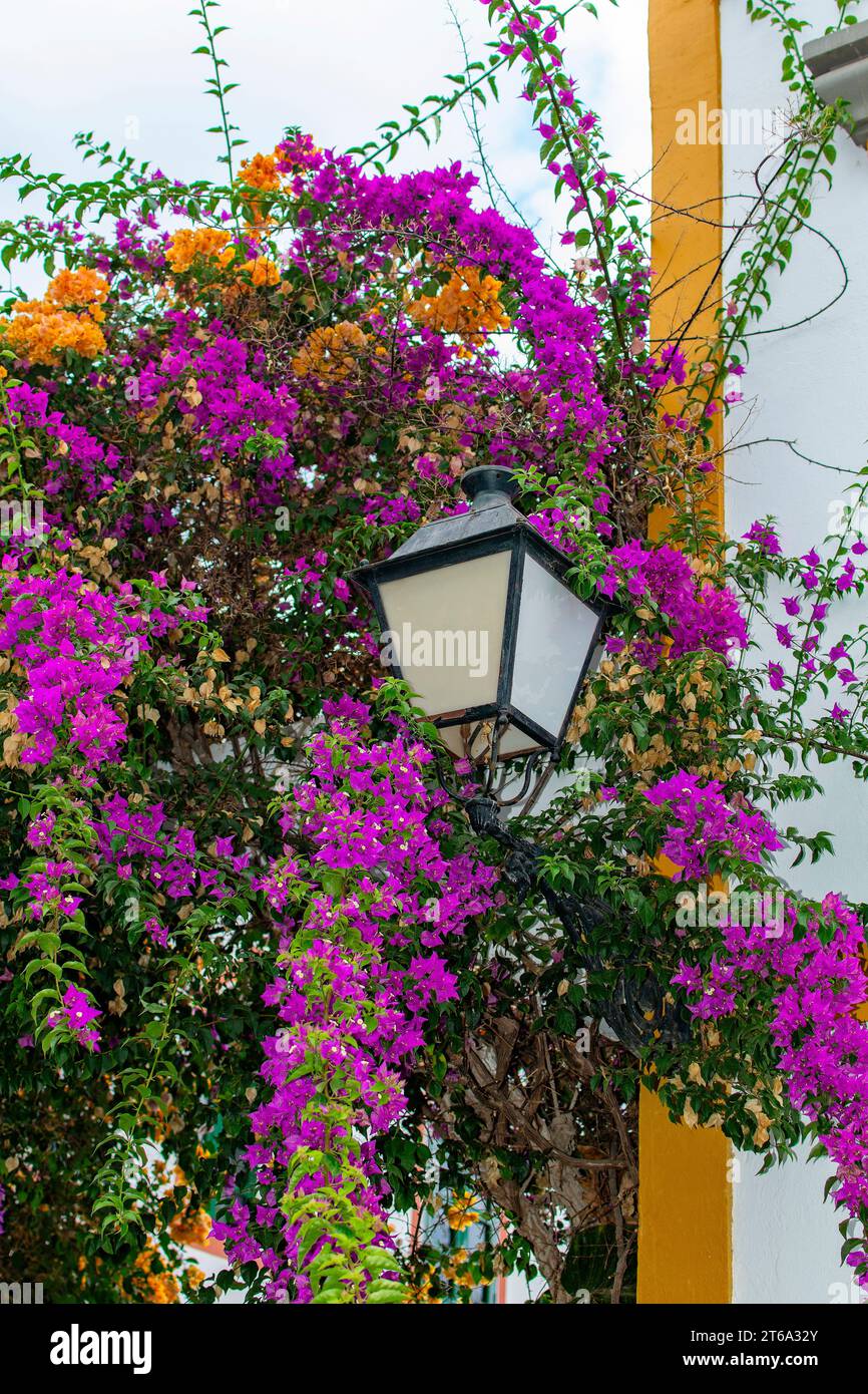 Flowers on the houses and  with a lantern  in the romantic  fishing  village of Puerto de Mogán on the Canary Island of Gran Canaria in Spain Stock Photo