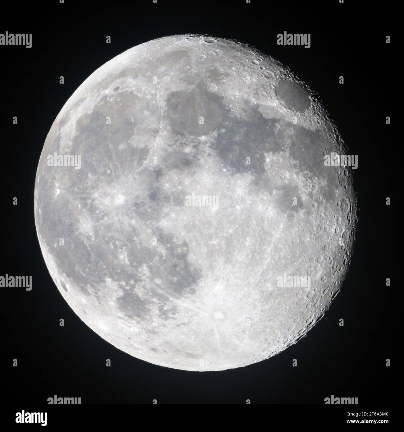 My Image 3