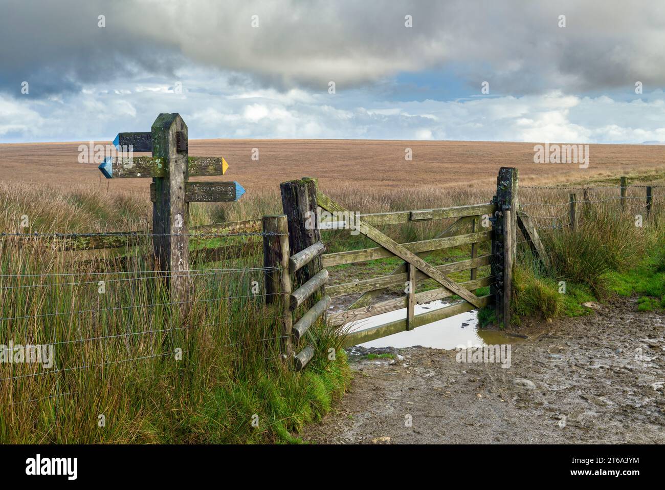 The meeting of Macmillan Way West, Tarka Trail and Two Moors Way