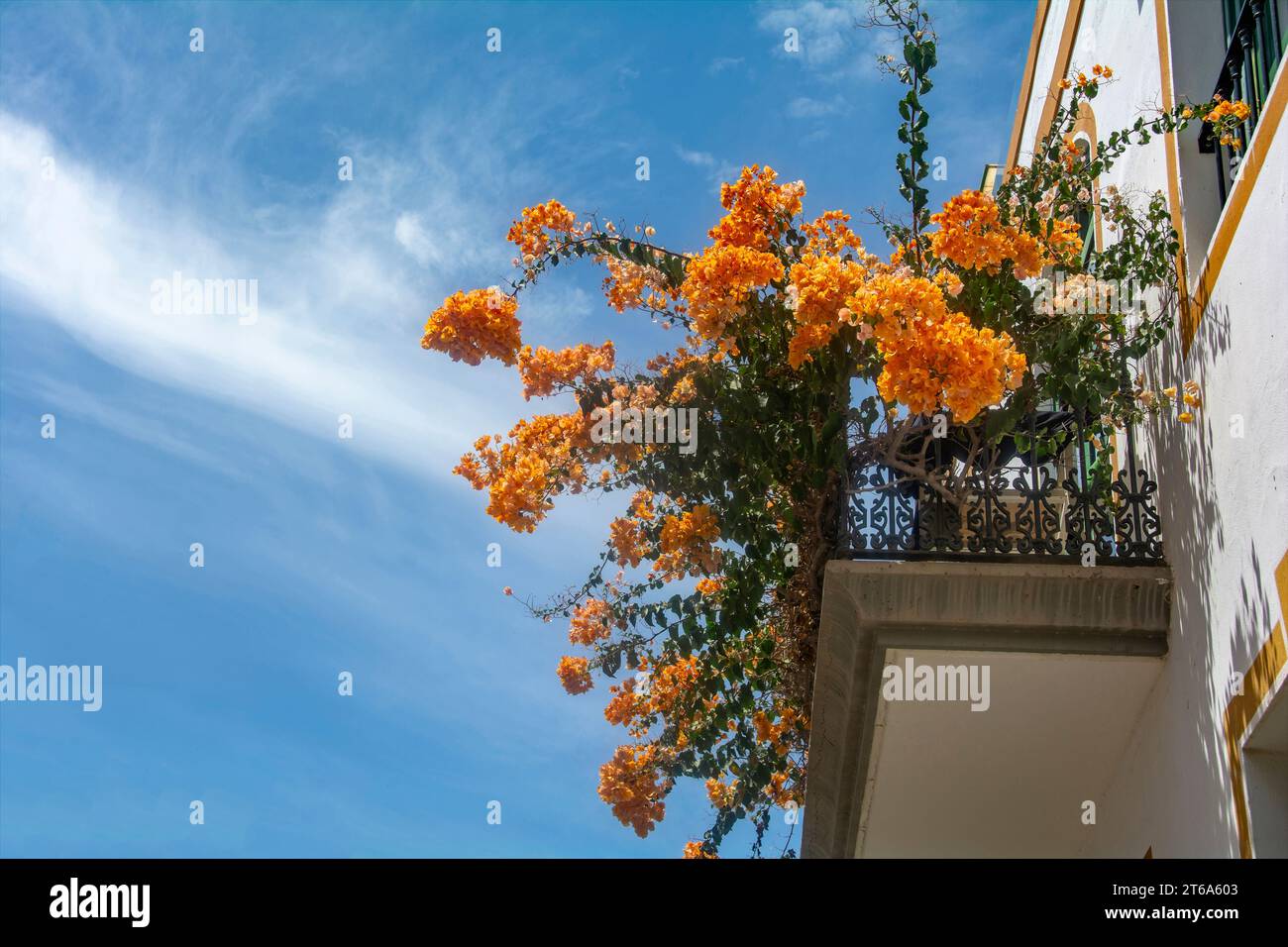 Flowers on the balcony in the romantic fishing village of Puerto de Mogán on the Canary Island of Gran Canaria in Spain Stock Photo