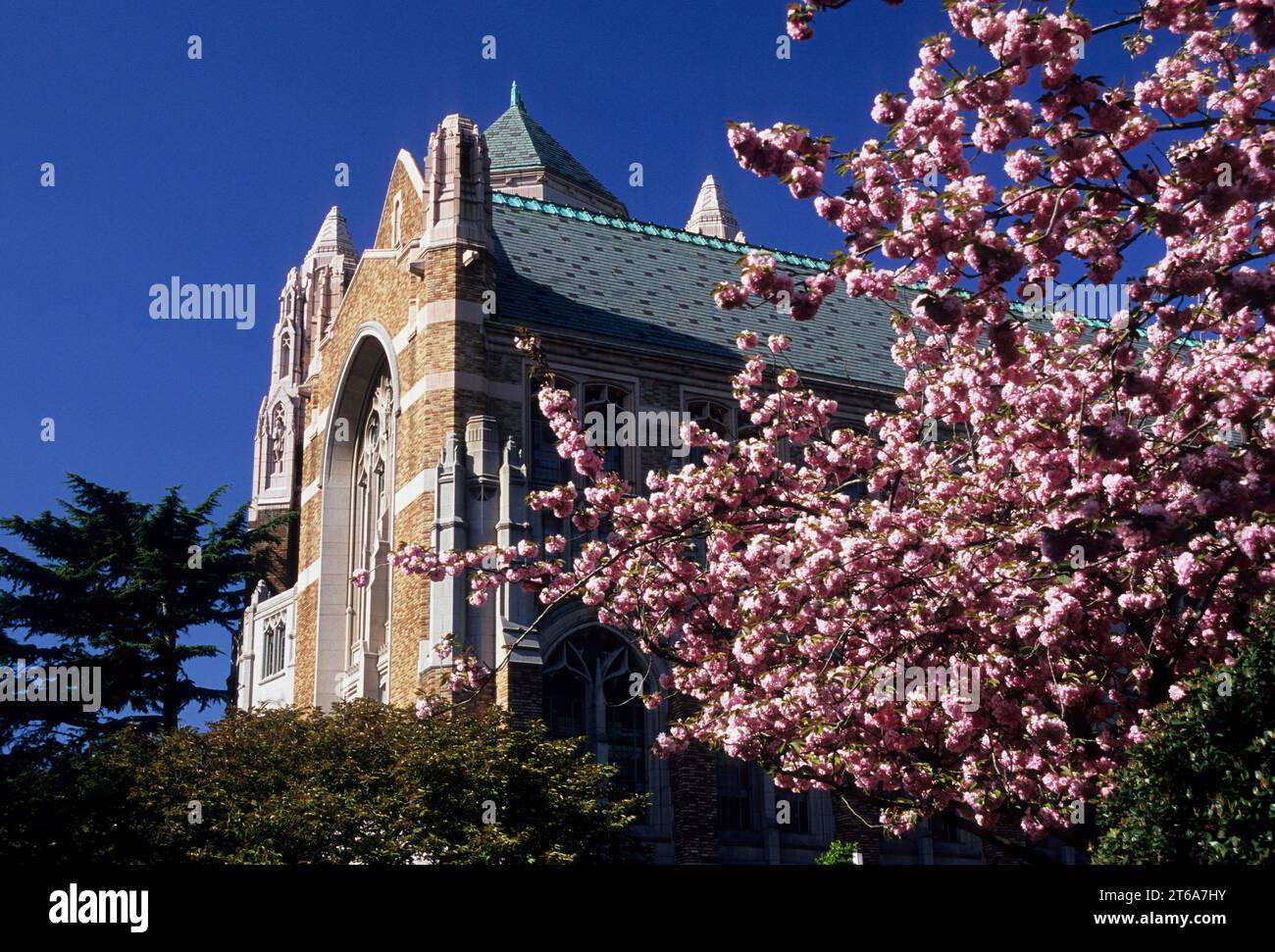 Henry Suzzallo Library, University of Washington, Seattle, Washington Stock Photo