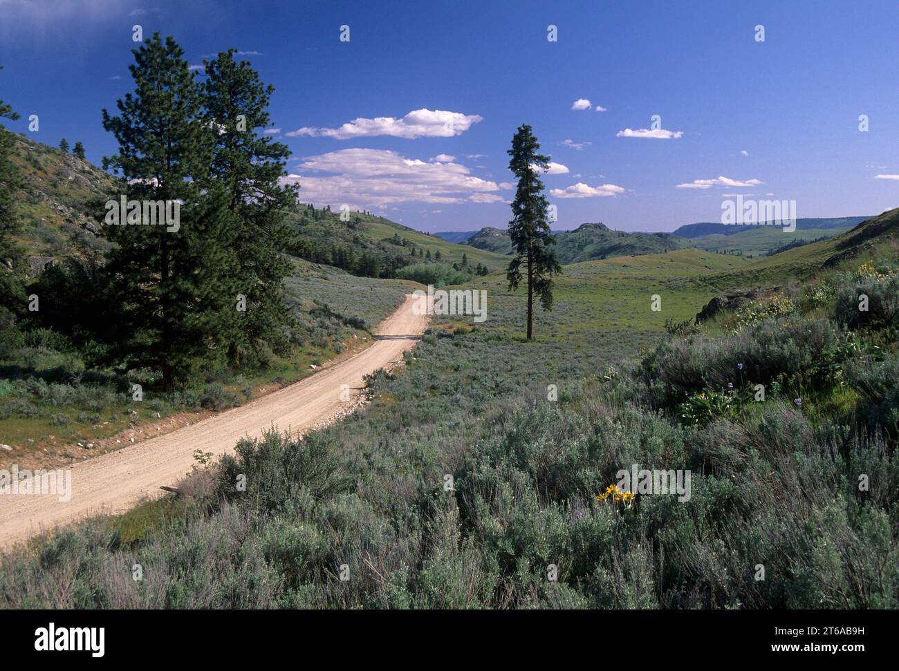 North Star Rd, Okanogan County, Washington Stock Photo