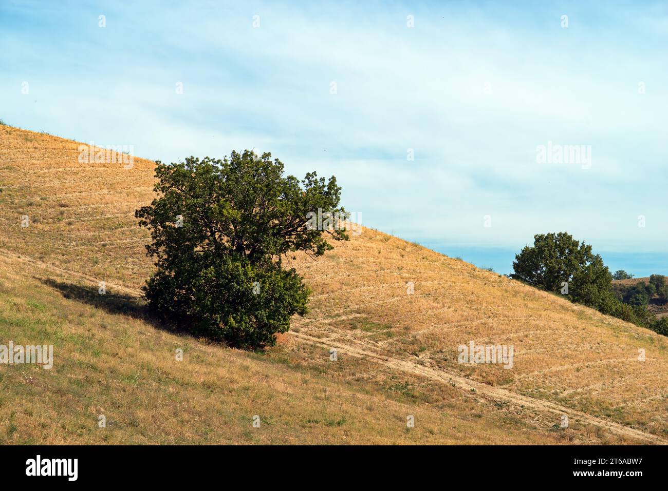 Campo secco hi-res stock photography and images - Alamy